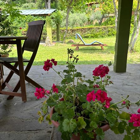Casa Verde Country House Монтескудайо Екстериор снимка